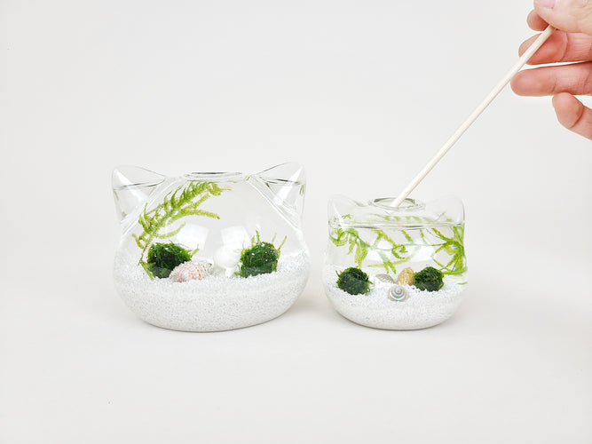 Terrariums