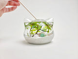 Big Cat Crystal Nano Java Moss Ball Terrarium