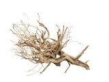 Tigerwood Showpiece [TW-T104]