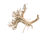 Tigerwood Showpiece [TW-T108]