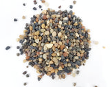 Natural Mixed Crushed Rocks - The Moss Boss Studio