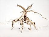 Tigerwood - The Moss Boss Studio