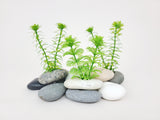 Aquatic Live Plant Anchor Stone