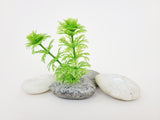 Aquatic Live Plant Anchor Stone