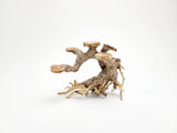 Bonsai Driftwood Tree