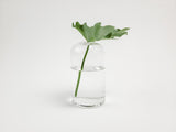 Cy Clear Glass Vase