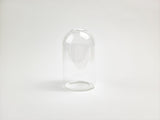 Cy Clear Glass Vase