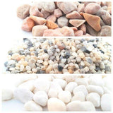 Natural Gravel Pepper Pea - The Moss Boss Studio
